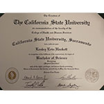 kinesiology-bs-university-degree Kinesiology BS - Sacramento State University