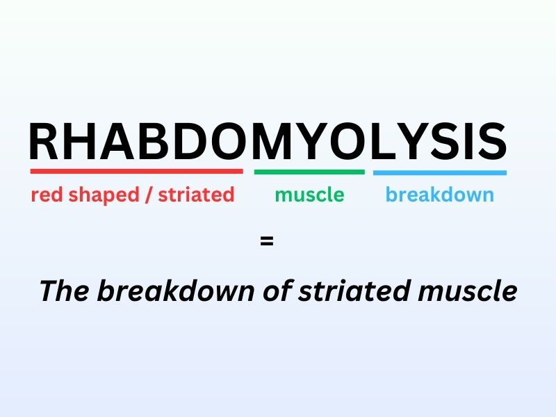Rhabdomyolysis - The breakdown of striated muscle